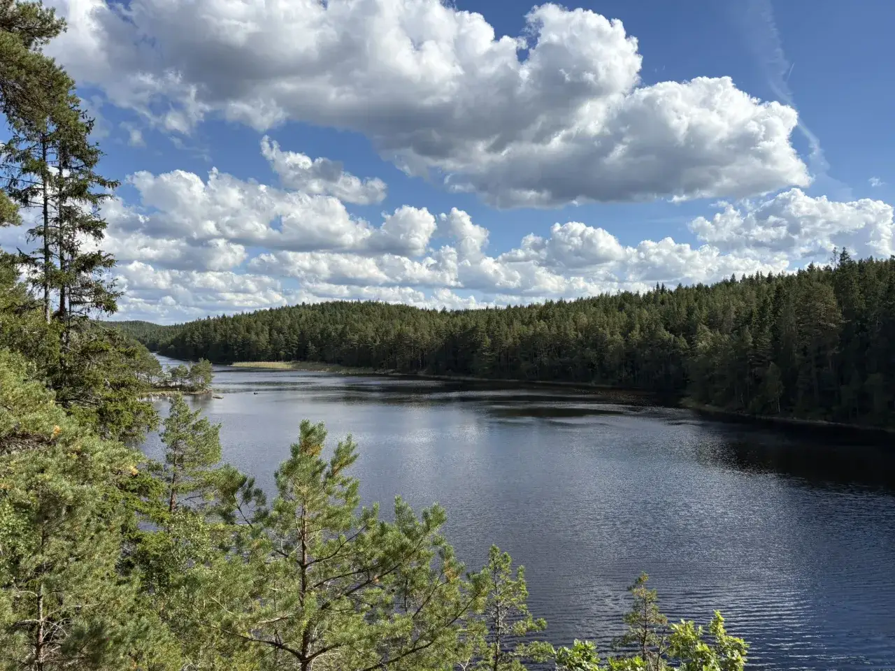 Vacker sj&ouml; omgiven av skog, perfekt f&ouml;r vandringsleder i Alings&aring;s. Molnen speglar sig i det m&ouml;rka vattnet.
