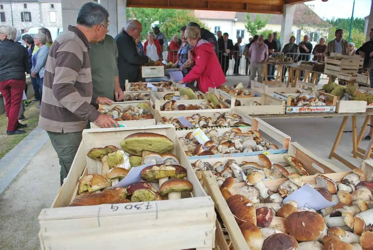Foule au march&eacute; aux c&egrave;pes, avec des caisses remplies de champignons.