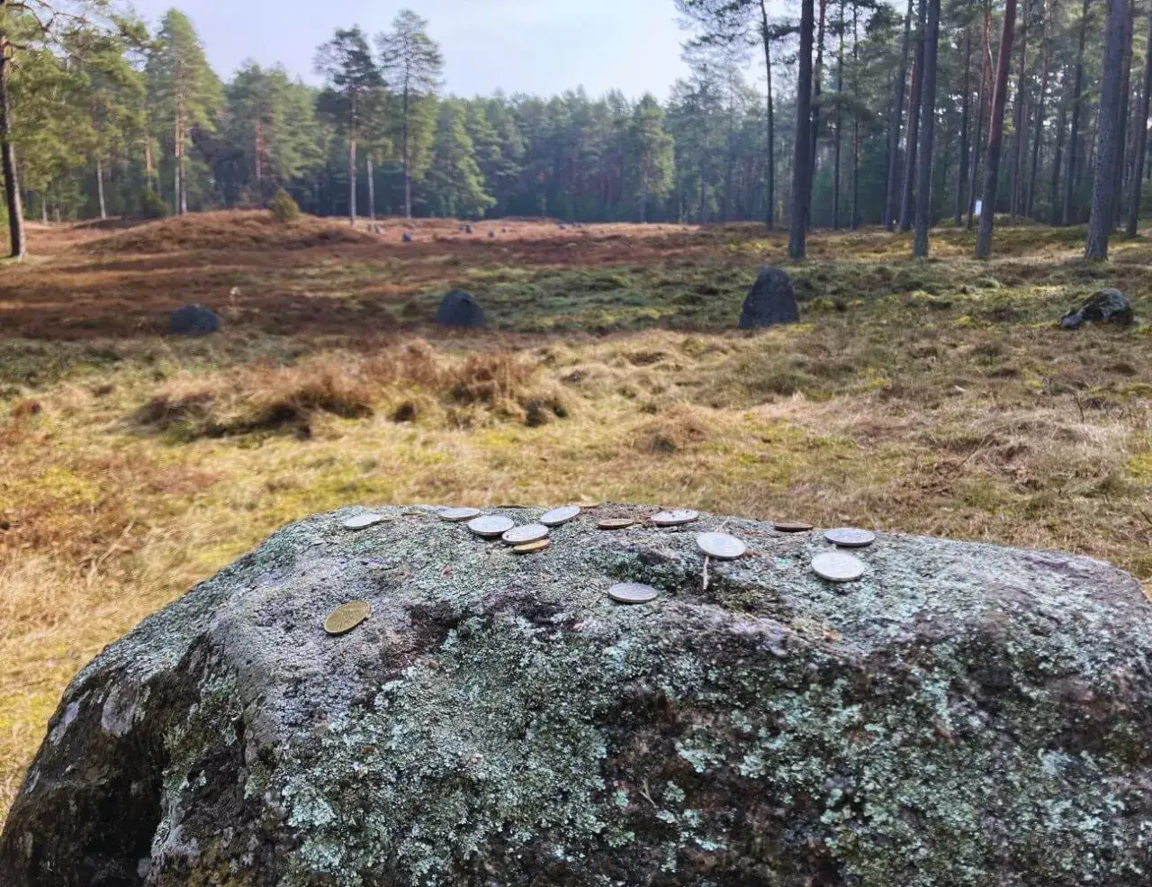 Kamienne kręgi w Odry, porośnięte mchem głazy i leśna polana. Na pierwszym planie kamień z monetami, jakby ofiarą dla dawnych bogów.