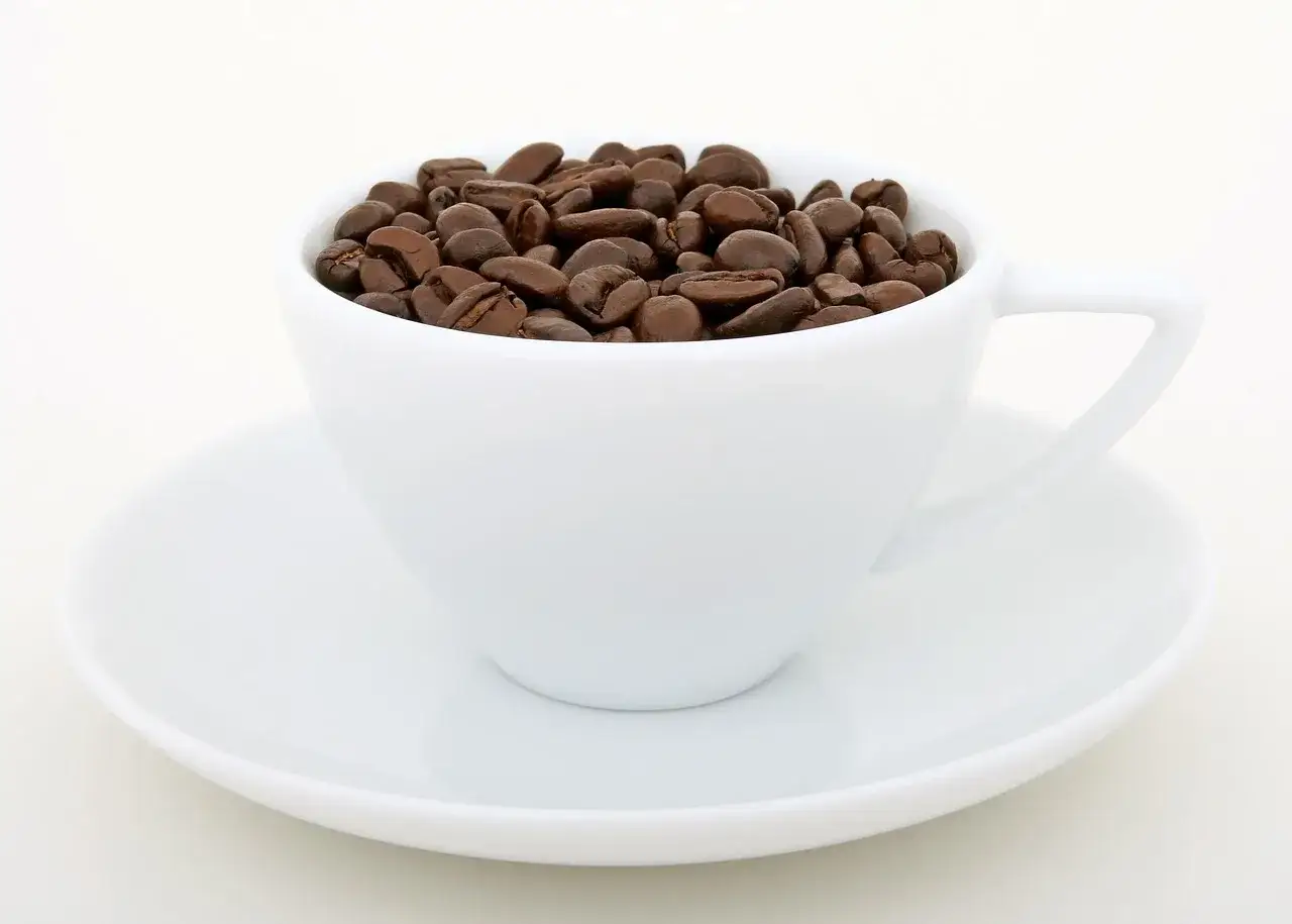 En vit kopp fylld med mörka kaffebönor, redo att bli koffein fritt kaffe.