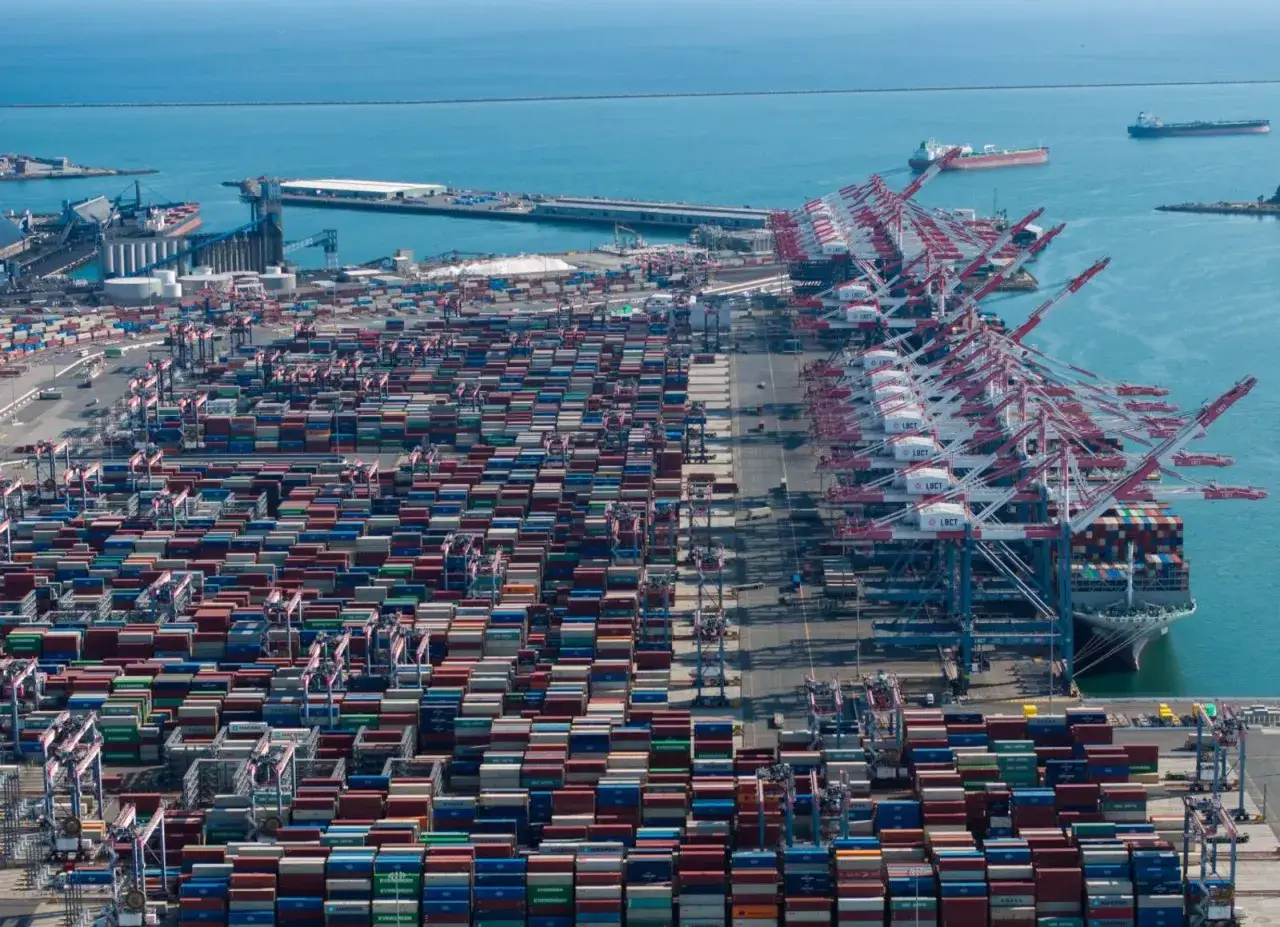 Un'immensa distesa di container colorati, gru giganti e navi in un porto che sembra il porto più grande del mondo.