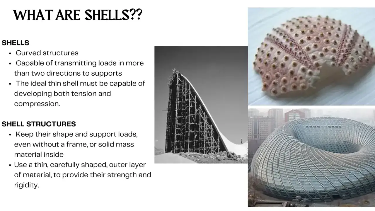 Ejemplos de estructuras laminares: caparazón de erizo de mar, obra en construcción y edificio moderno.