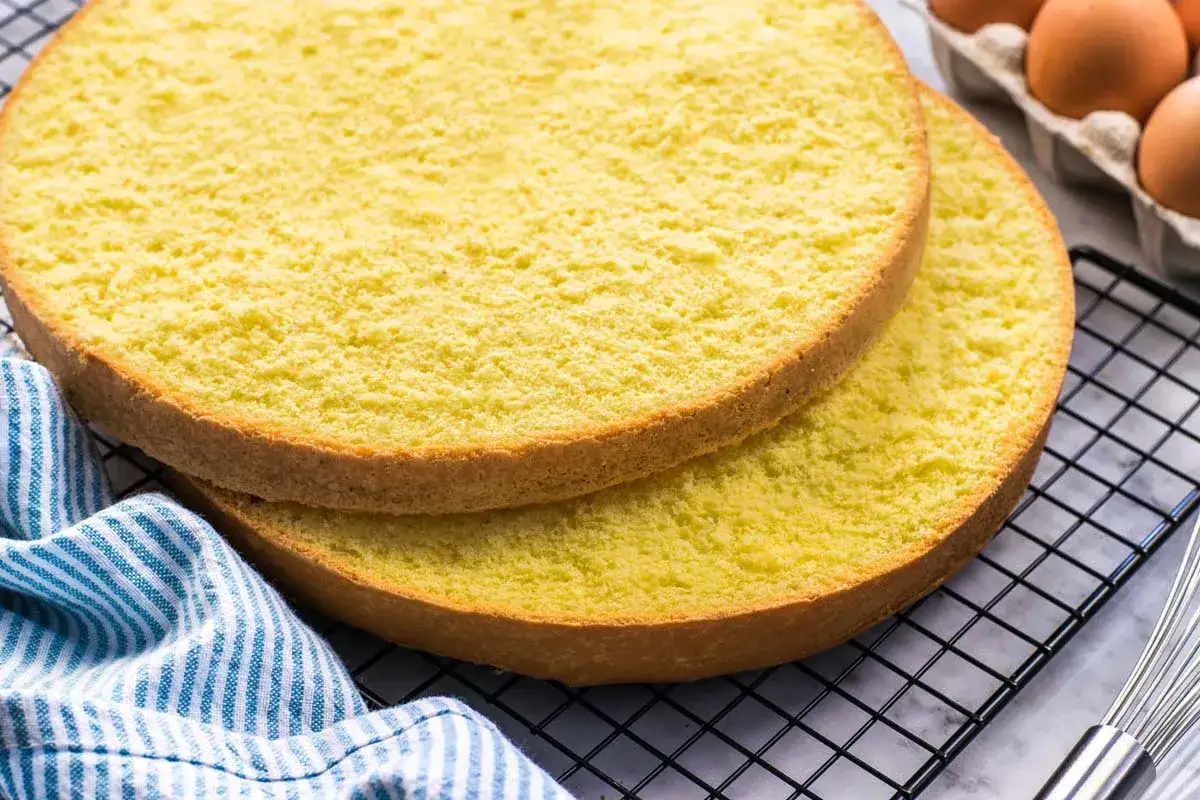 Due dischi di pan di spagna pasticceria professionale, soffici e dorati, pronti per essere farciti.