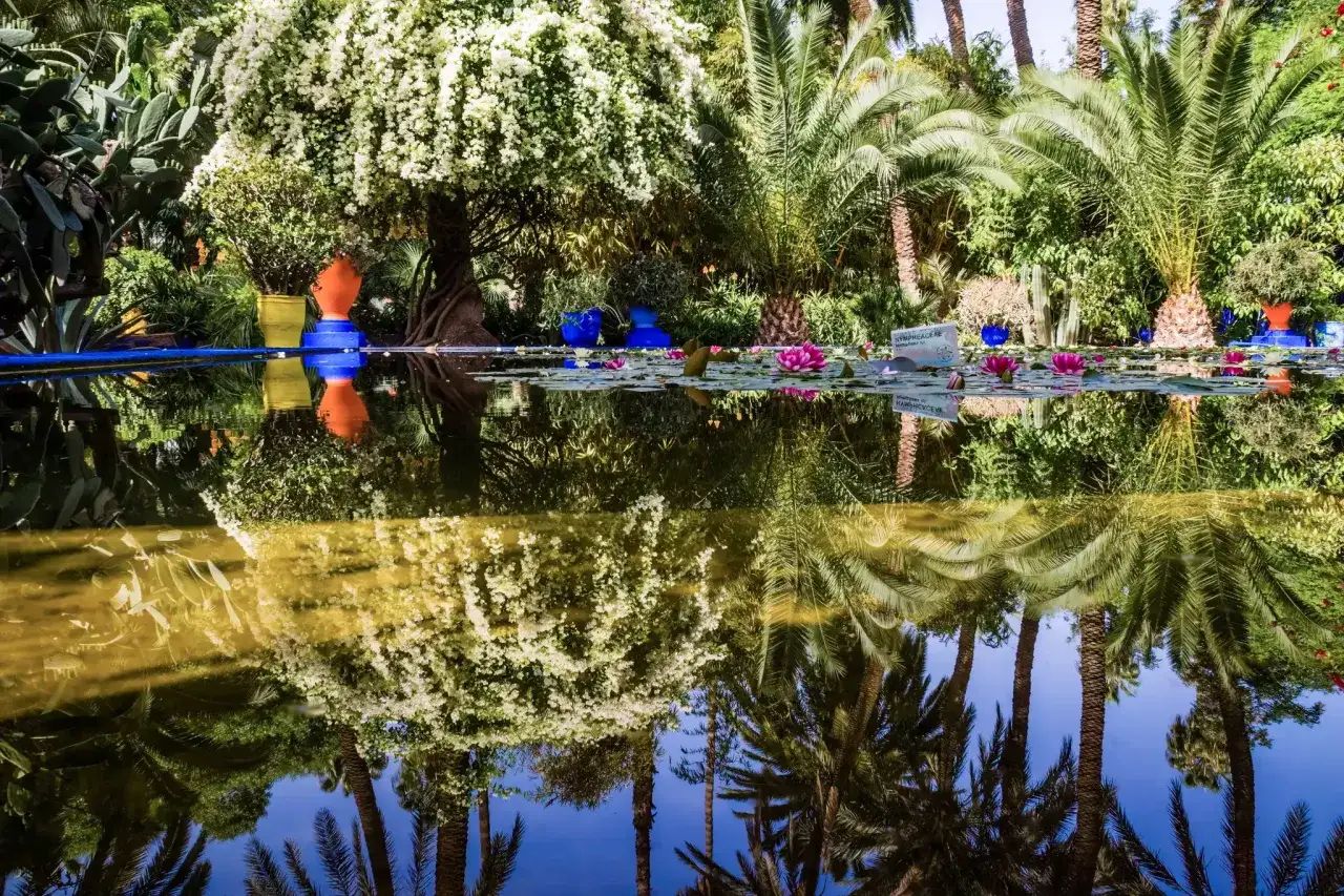 Ein Teich mit Seerosen und Palmen reflektiert die &uuml;ppige Vegetation. Ein Geheimtipp f&uuml;r Marrakesch: die Ruhe im Jardin Majorelle.