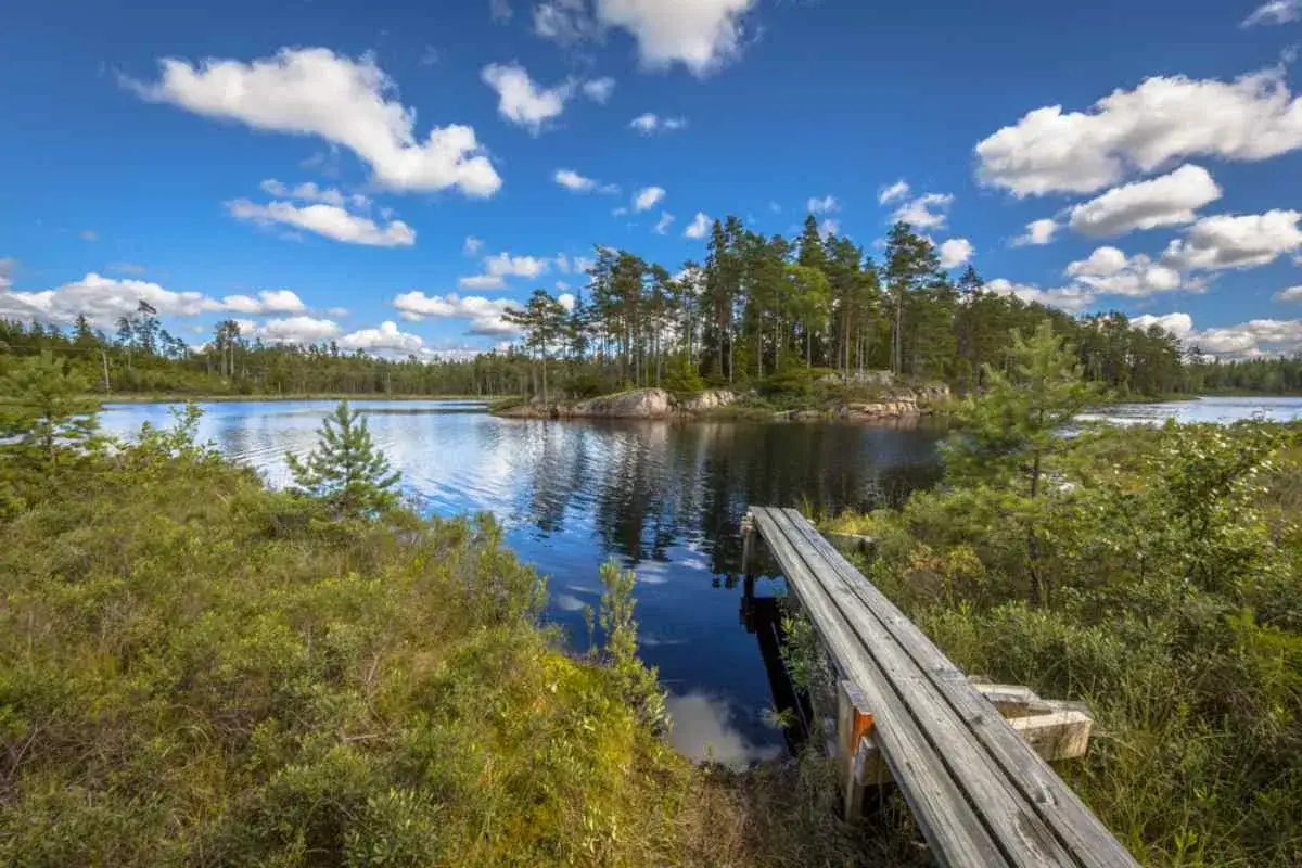 En brygga leder ut till en lugn sjö omgiven av skog. Perfekt för en campa Sverige-upplevelse.