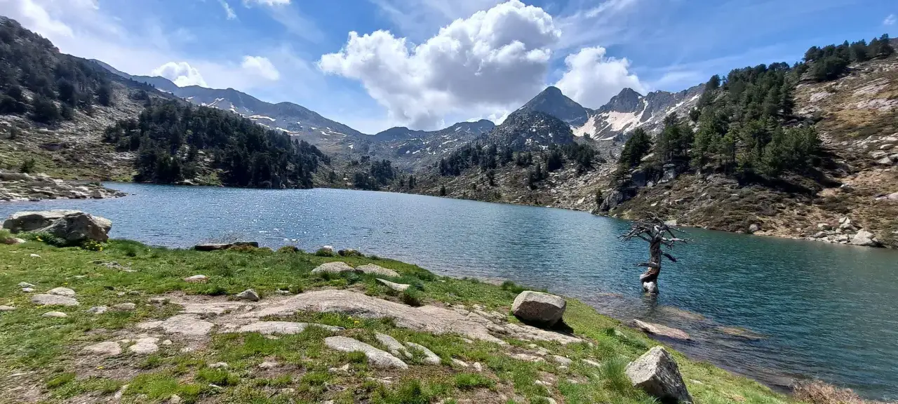 El estany de Montcort&egrave;s, un lago azul rodeado de monta&ntilde;as y pinos, con un &aacute;rbol retorcido emergiendo del agua.