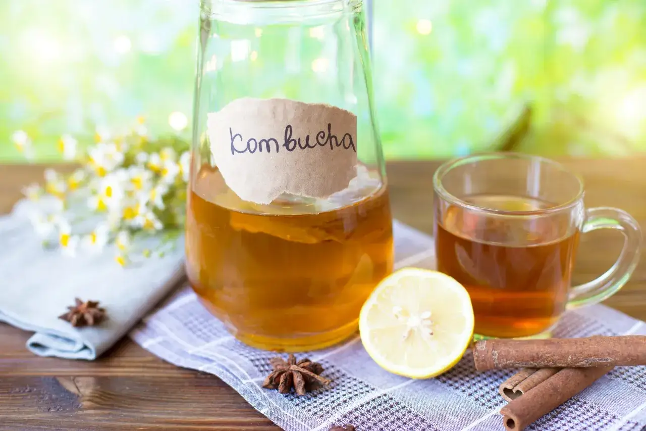 kombu cha wodorosty vs kombucha