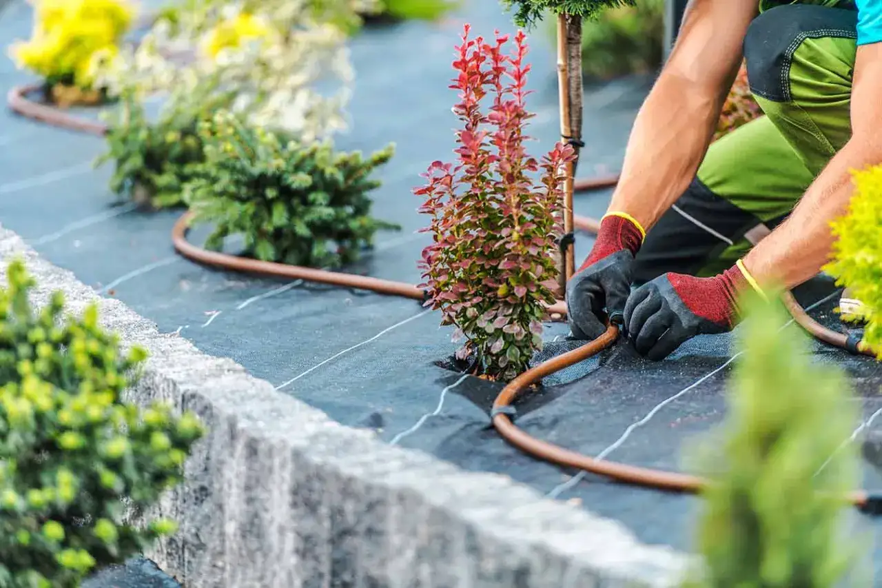 Instalación de sistemas de riego por goteo, uno de los tipos de riego más eficientes para plantas jóvenes y arbustos en un jardín.