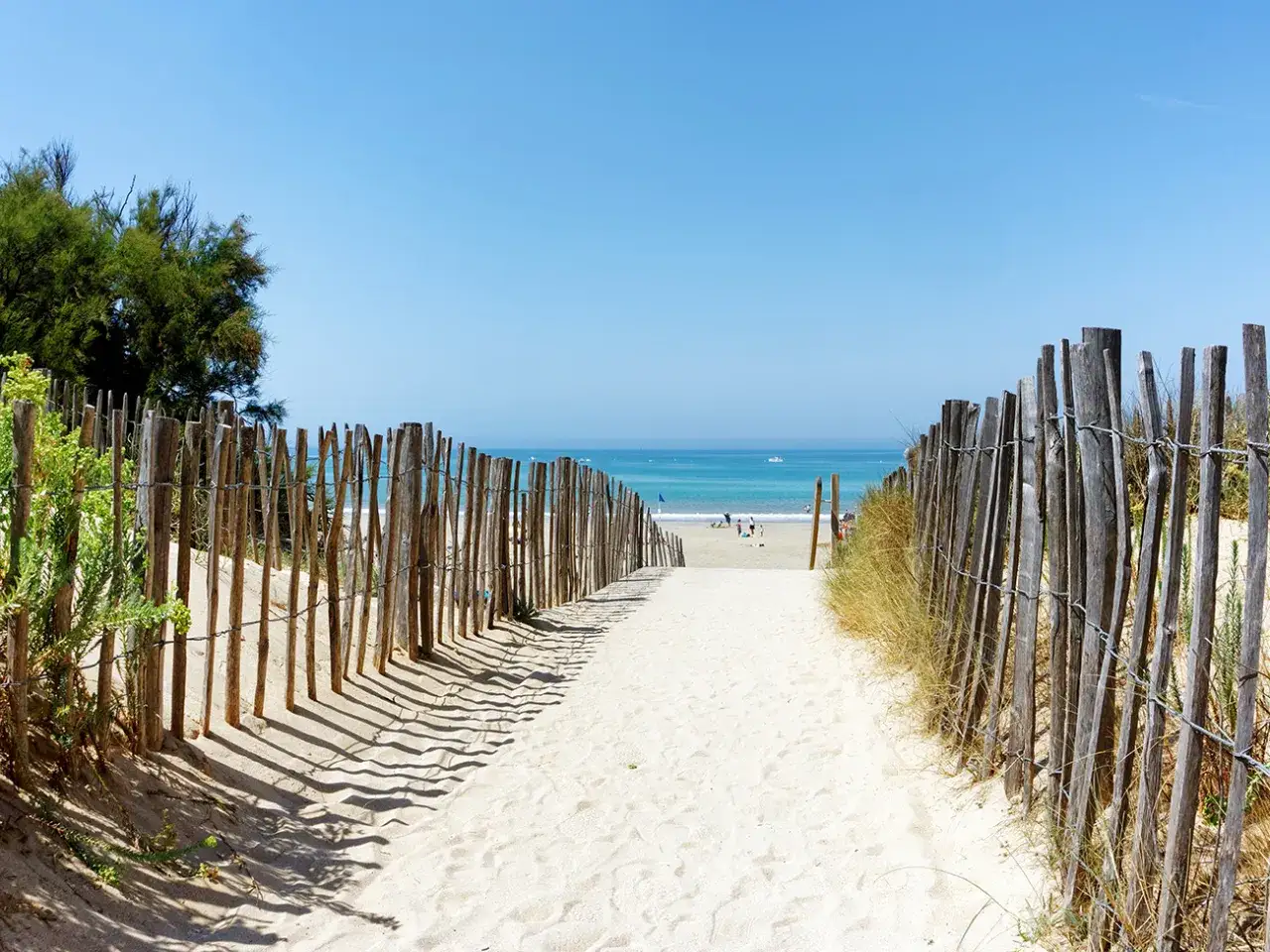 Chemin de sable menant à la plage, bordé de ganivelles. Le bois-plage-en-ré : activités à découvrir sous un ciel bleu.