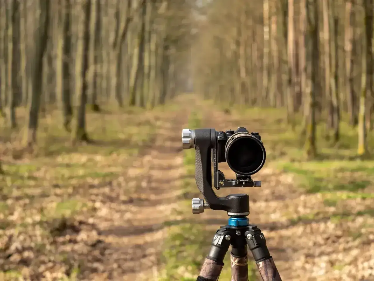 Profesjonalny aparat na statywie czeka na uchwycenie piękna lasu. To idealne miejsce na fotografia przyrody.