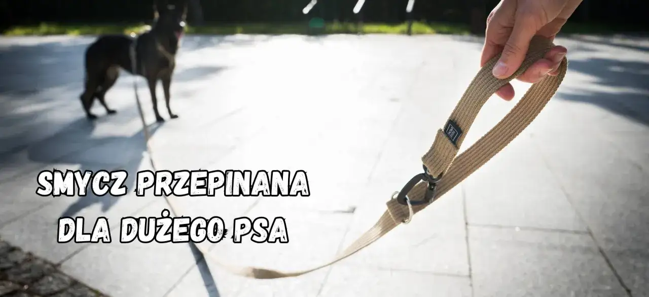 Smycz przepinana dla dużego psa, trzymana w dłoni, z psem w tle.