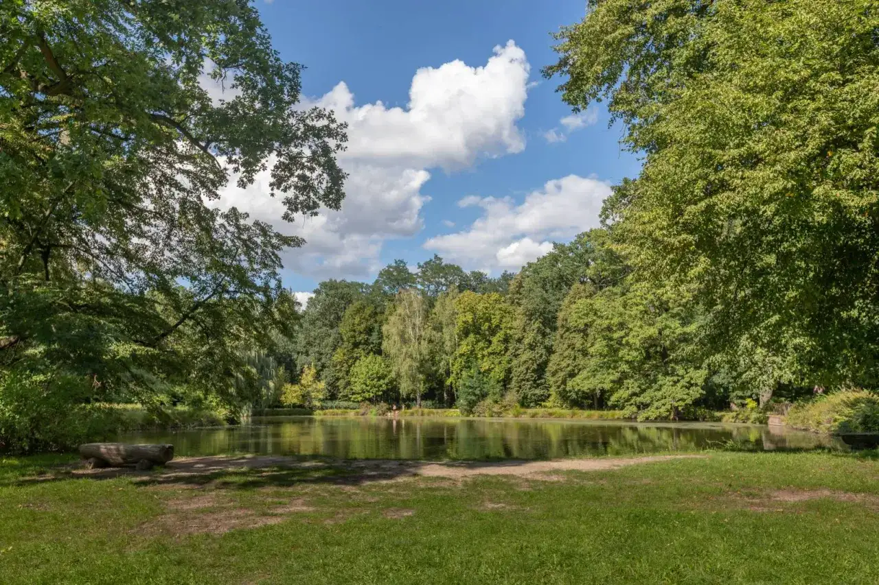 Spokojne stawy w Leśnicy otoczone bujną zielenią drzew. Na pierwszym planie trawnik i drewniana ławka.