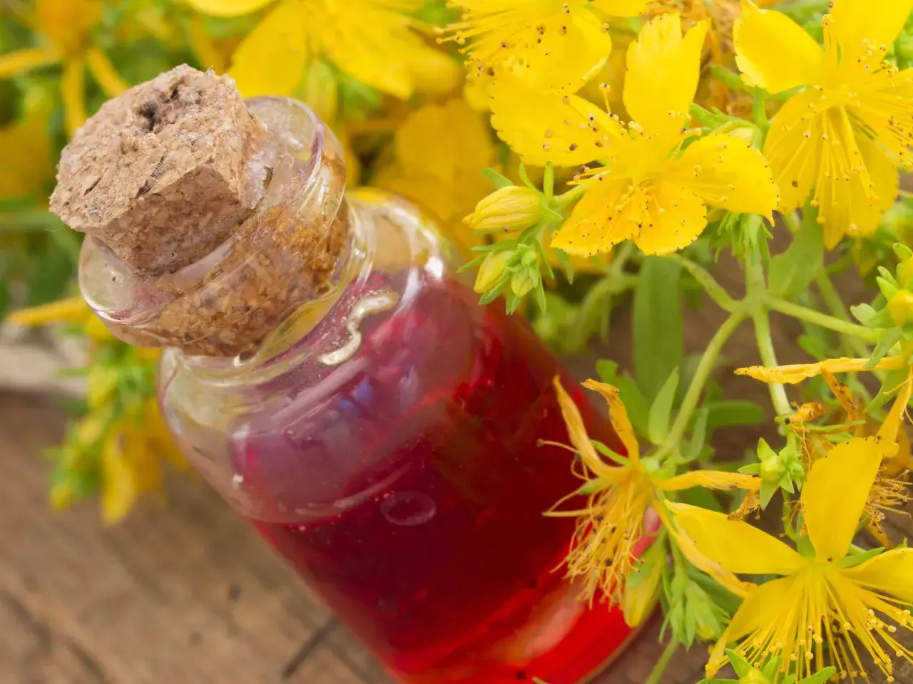 Frasco de vidrio con aceite hiperico rojo, rodeado de flores amarillas de hipérico.