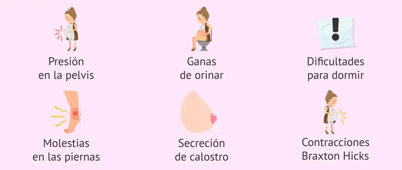 Ilustración de síntomas del embarazo: presión pélvica, ganas de orinar, dificultad para dormir, molestias en piernas, secreción de calostro y contracciones Braxton Hicks. A veces, el dolor de ovarios puede ser un síntoma.