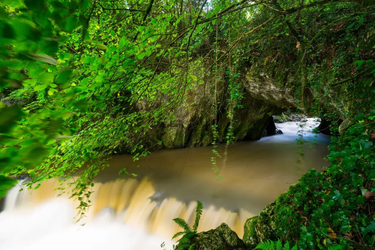 Un río caudaloso fluye a través de una **gruta del diablo** rodeada de exuberante vegetación y rocas cubiertas de musgo.