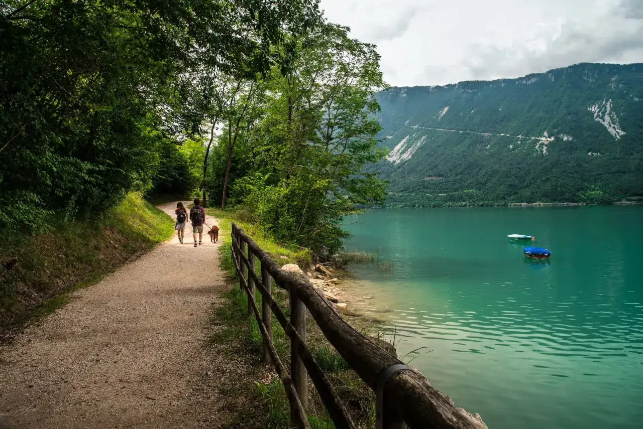 Passeggiata con il cane lungo il sentiero del lago di Santa Croce, con montagne verdi sullo sfondo e acque turchesi.