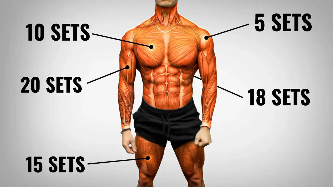 Anatomia mięśni z oznaczeniami: 10, 20, 15, 5 i 18 SETS. To wizualizacja objętości treningowej dla różnych partii ciała.