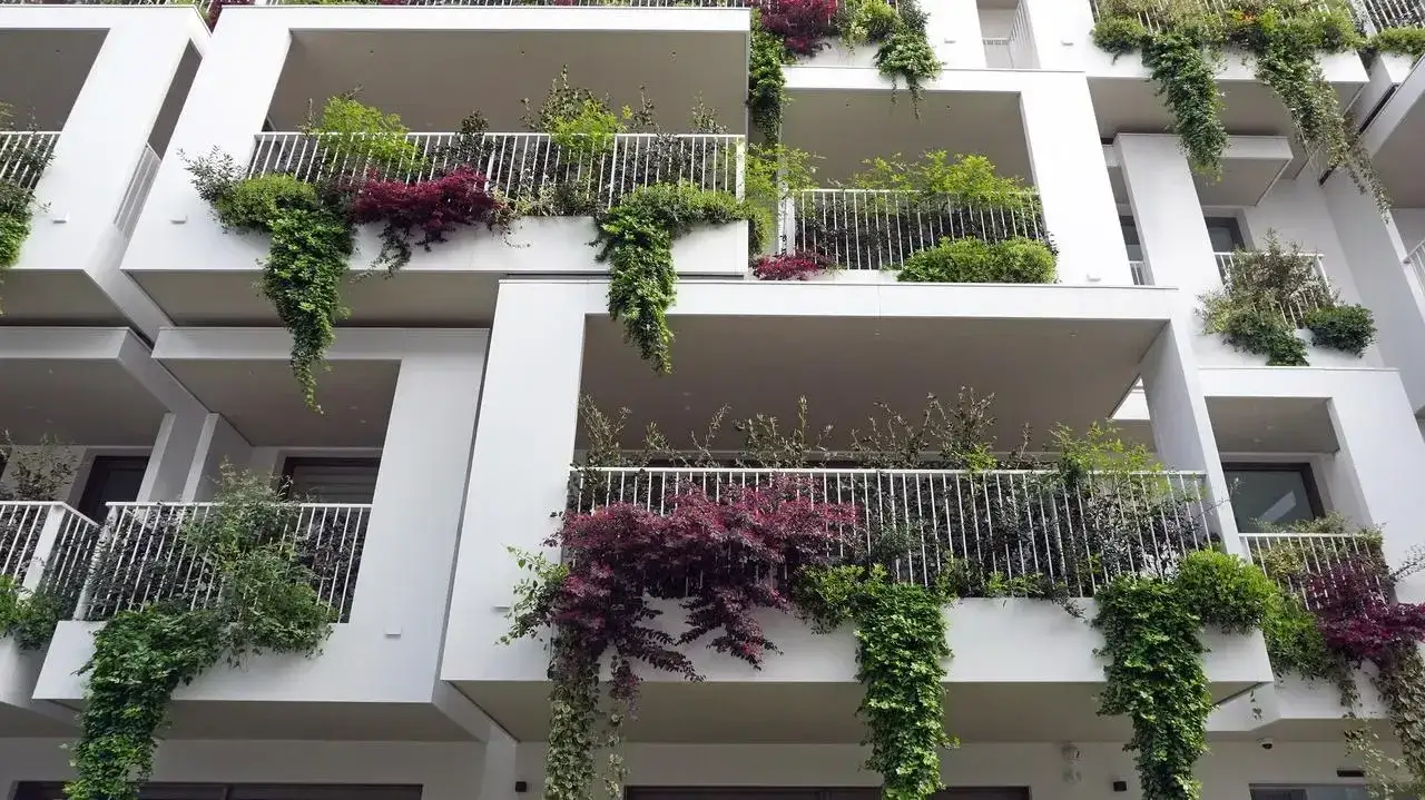 balkon z pnączami roślinami