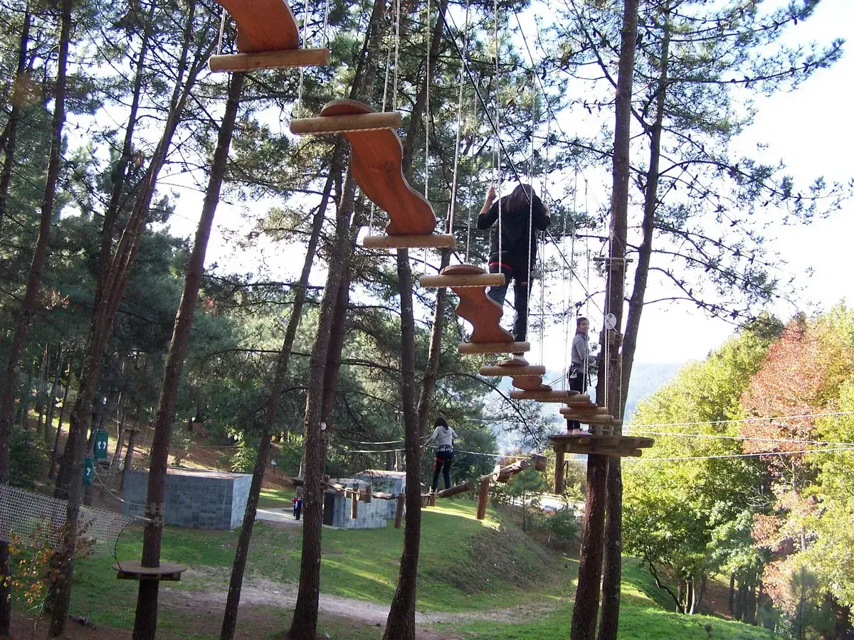 Personas superando obstáculos en un parque de aventuras. El parque de los sentidos ofrece diversión y desafío entre árboles.
