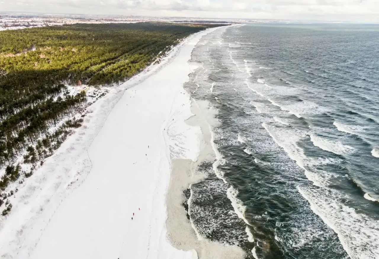 Zimowy krajobraz nad Bałtykiem. Śnieg pokrywa plażę i las, a fale rozbijają się o brzeg. Czy bałtyk zamarzł teraz? Nie, woda wciąż płynie.