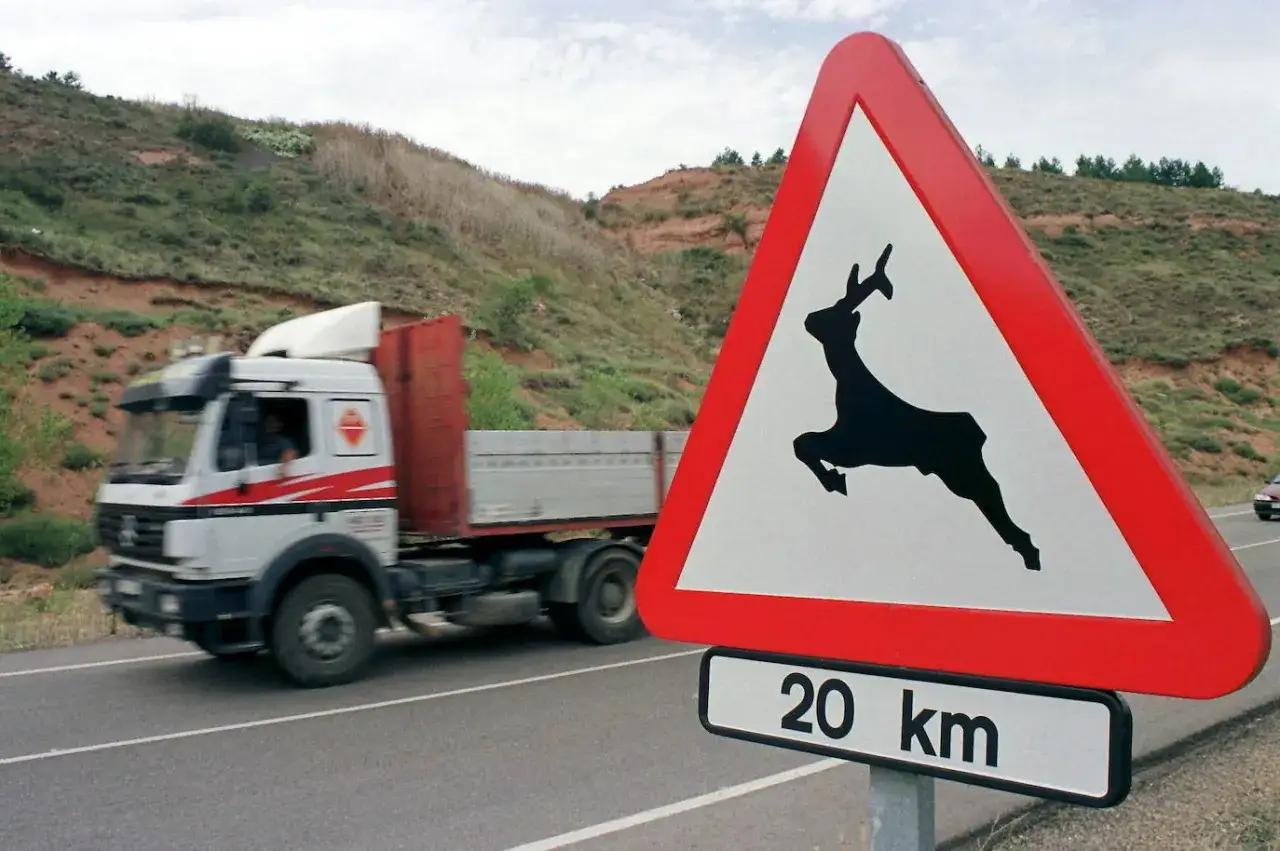 Señal de advertencia de **animales salvajes** con silueta de ciervo saltando. Un camión pasa por la carretera.