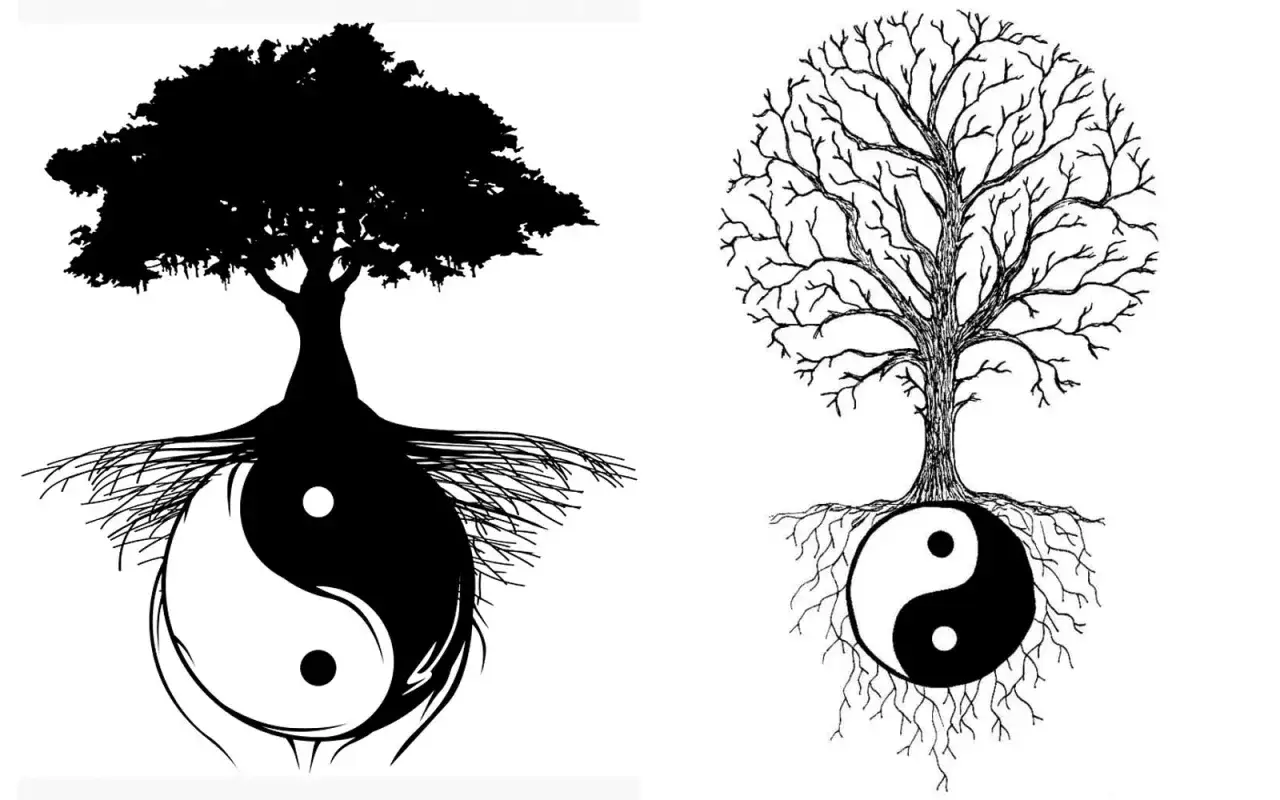 Arbre aux racines en Yin Yang, symbole énergie spirituelle. Deux arbres, l'un plein, l'autre nu, ancrés dans l'équilibre.