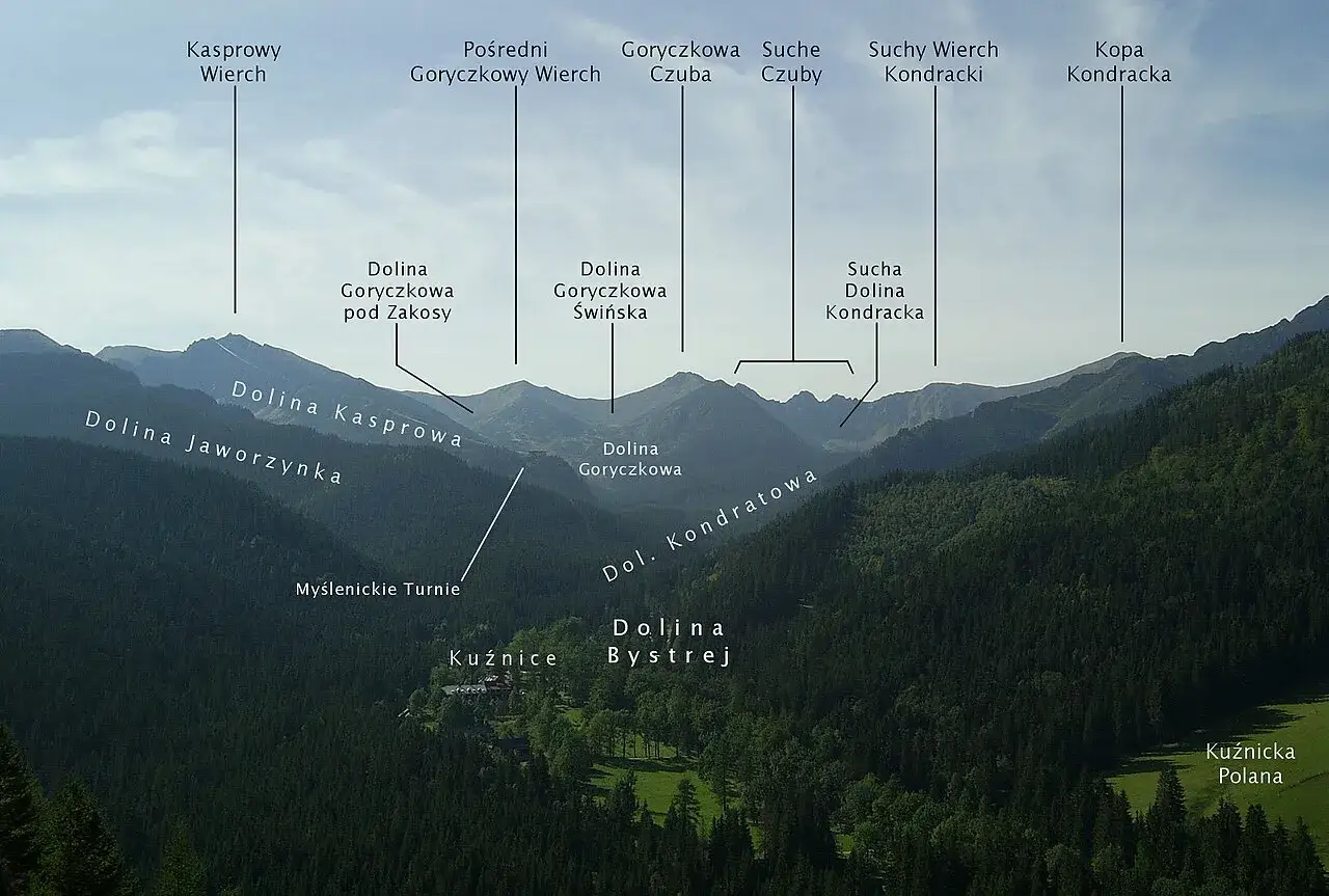 Widok na Tatry z Kuźnic. Widać Dolinę Kasprową, Jaworzynkę i Kondratową, a także szczyty takie jak Kasprowy Wierch. To świetne miejsce na fajne trasy z Kuźnic.