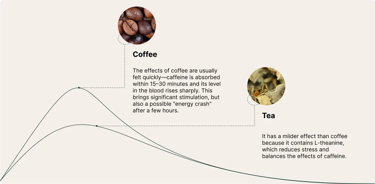 Graf som visar koffeinhalt kaffe och te. Kaffe ger snabbare och högre effekt, te en mildare.