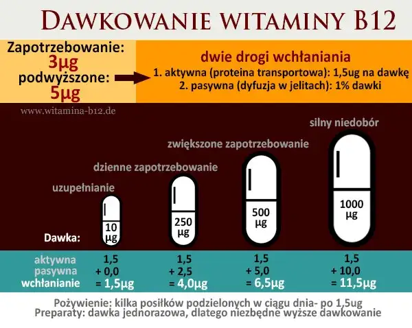 Zdjęcie Jak długo brać witaminę B12? Eksperci wyjaśniają