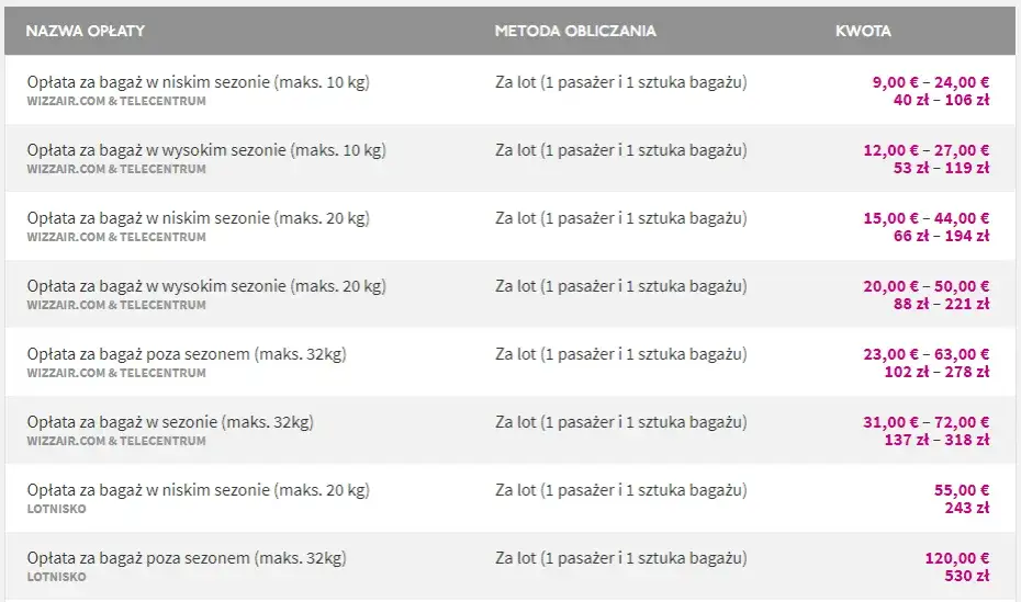Zdjęcie Ile kosztuje dokupienie bagażu na lotnisku wizz air? Sprawdź ceny!