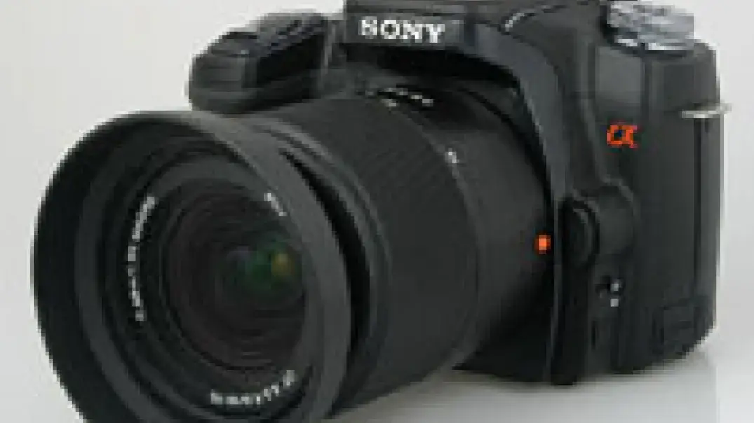 Zdjęcie Lustrzanka Sony Alfa 100 - szczegółowe informacje i porównania modeli