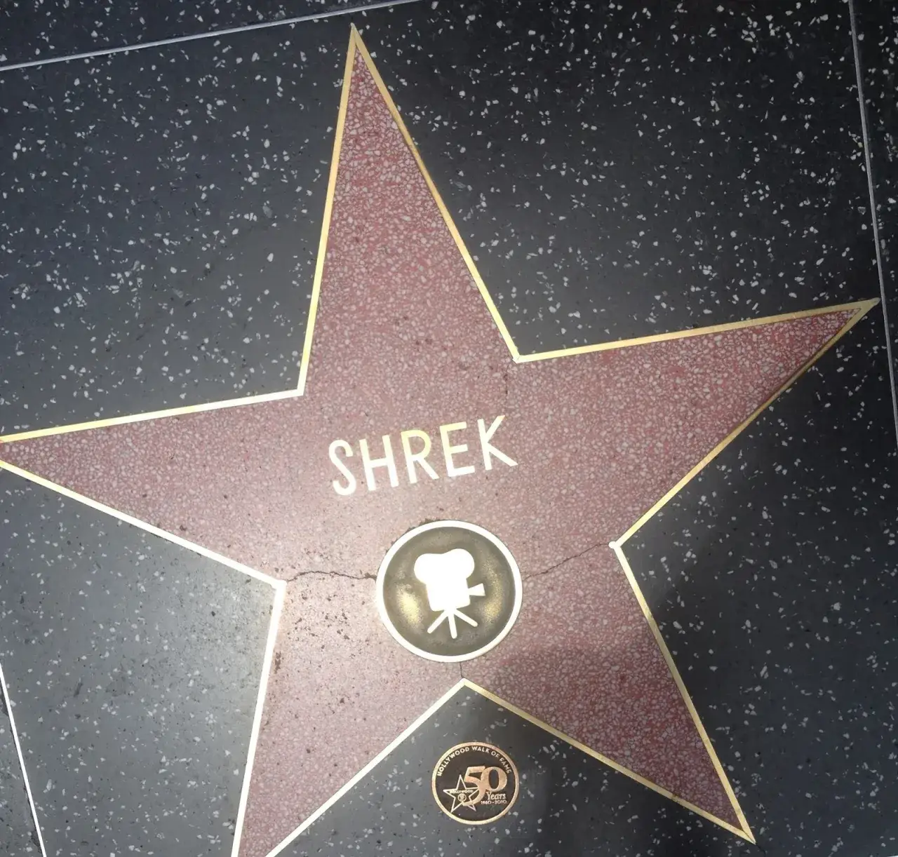 Zdjęcie Kto ma gwiazdę na ścianie w Hollywood? Zaskakujące fakty o gwiazdach