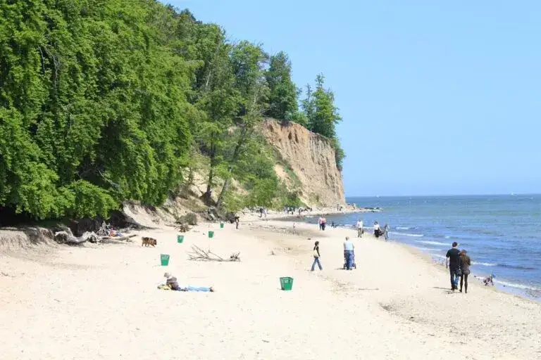 Zdjęcie Co sprawia, że plaża Orłowo w Gdyni jest tak niezwykle popularna?