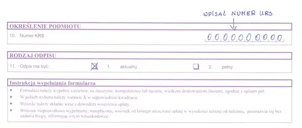 Zdjęcie Jak szybko uzyskać odpis pełny KRS i uniknąć zbędnych kosztów