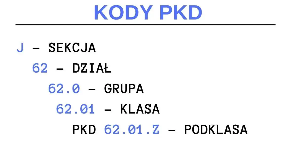 Zdjęcie Kody PKD co to? Zrozumienie ich znaczenia dla Twojej firmy