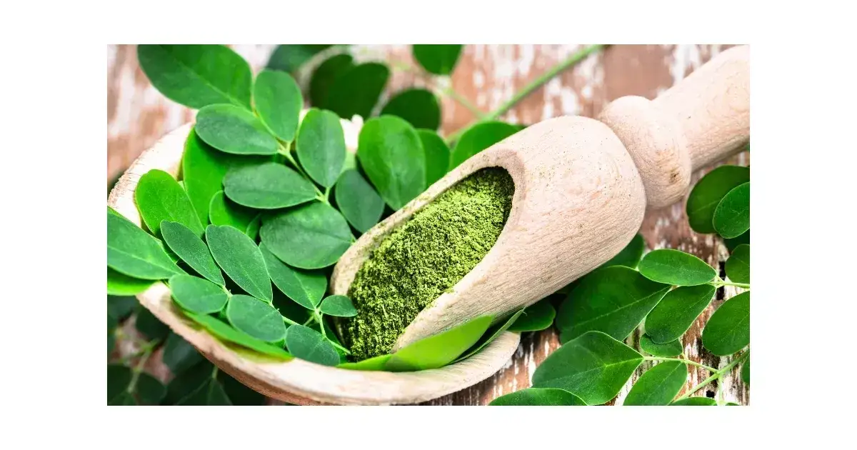 Zdjęcie  Moringa - poznaj właściwości superrośliny i korzyści dla zdrowia