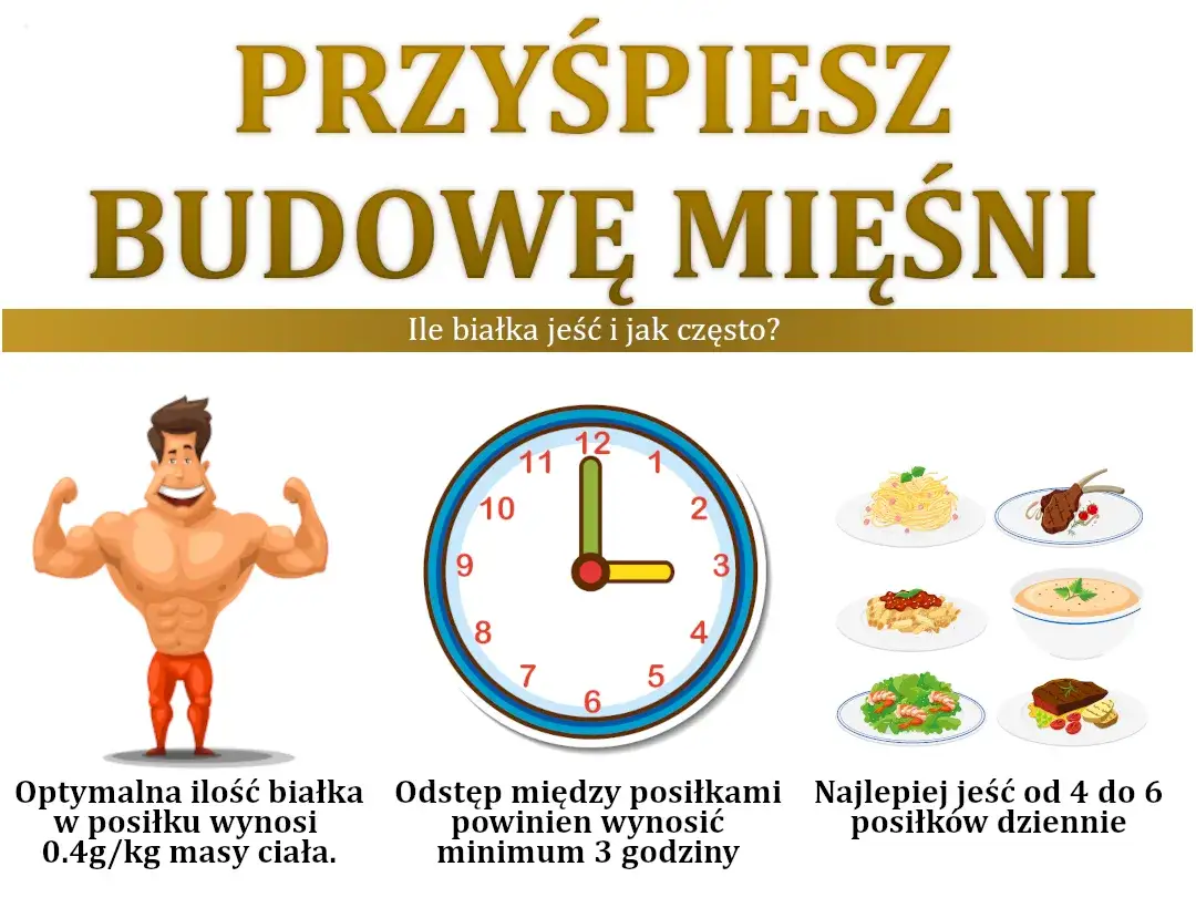 Zdjęcie Wartość 1g białka ile kalorii? Poznaj prawdę o zawartości energii w proteinie
