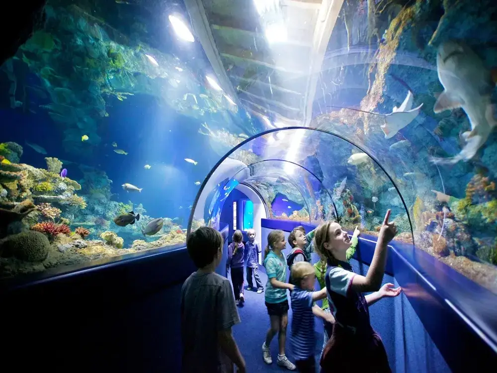 Zdjęcie Oceanarium Antalya - Niezapomniane atrakcje i wskazówki dla odwiedzających