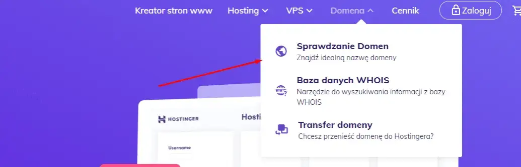 Zdjęcie Gdzie najlepiej kupić domenę i hosting? Najlepsze opcje i porady