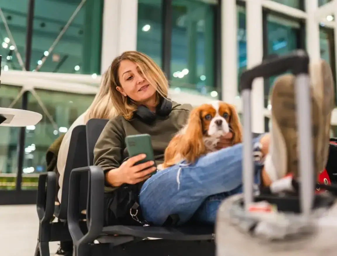 Zdjęcie Czy Wizzair przewozi zwierzęta? Sprawdź zasady i wyjątki dla pupili