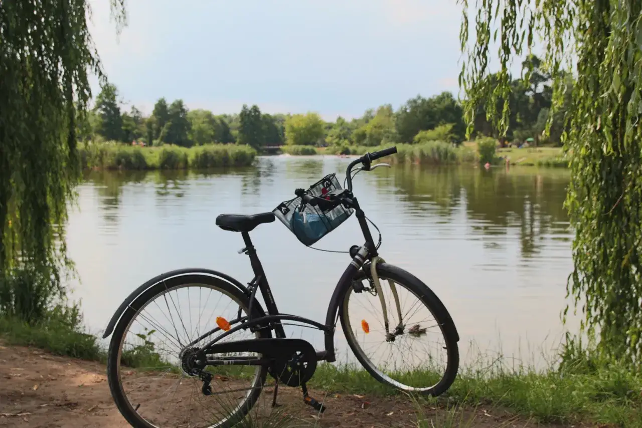 Zdjęcie Najlepsze trasy rowerowe w Piasecznie – odkryj piękno okolicy