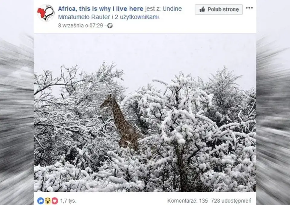 Zdjęcie Czy w Afryce pada śnieg? Zaskakujące fakty o śniegu na kontynencie