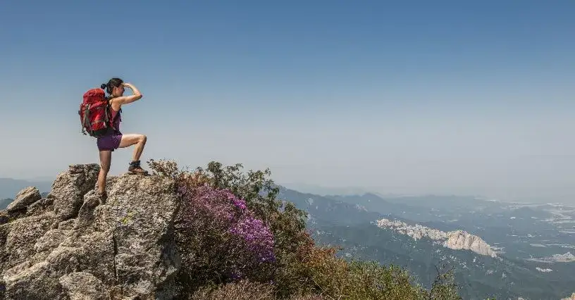 Zdjęcie Jakie buty trekkingowe damskie wybrać, aby uniknąć rozczarowania?
