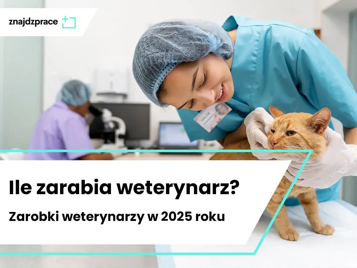 Zdjęcie Ile zarabia weterynarz w Anglii? Zaskakujące fakty o wynagrodzeniach