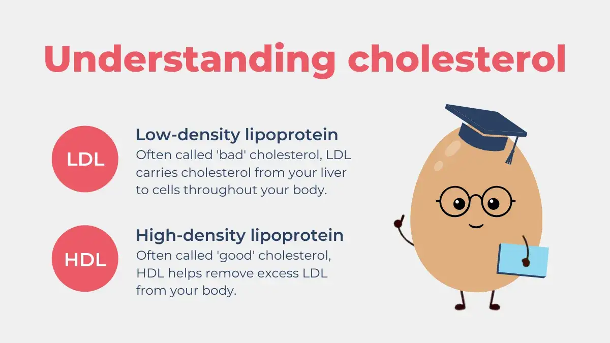 Zdjęcie Czy cholesterol jest szkodliwy dla zdrowia? Prawda o jego wpływie