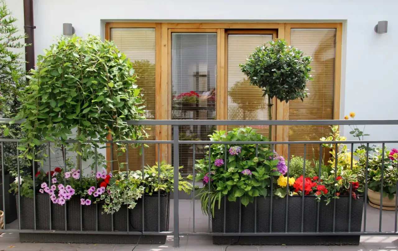 Zdjęcie Czym zasłonić balustradę na balkonie, aby zyskać prywatność i styl?