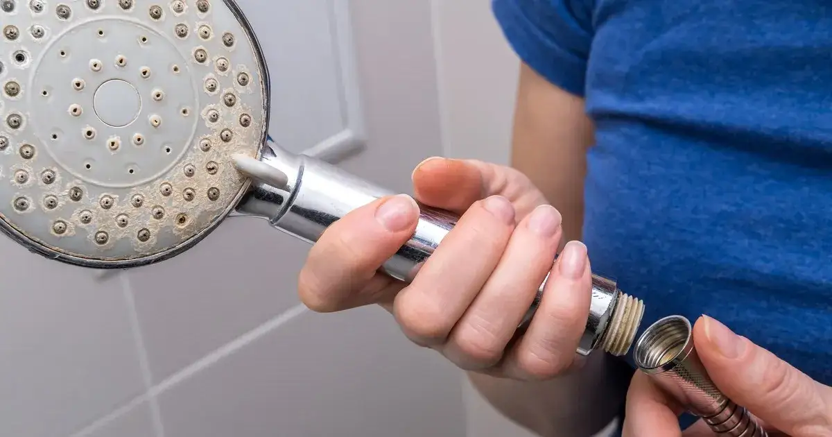 Zdjęcie Legionella skąd się bierze i jak uniknąć niebezpieczeństw związanych z nią