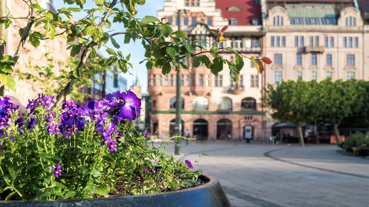 Zdjęcie Najlepsze atrakcje w Malmö, które musisz zobaczyć podczas wizyty