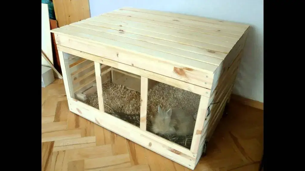 Zdjęcie Jak zrobić klatkę dla królika z palet: 5 prostych kroków DIY