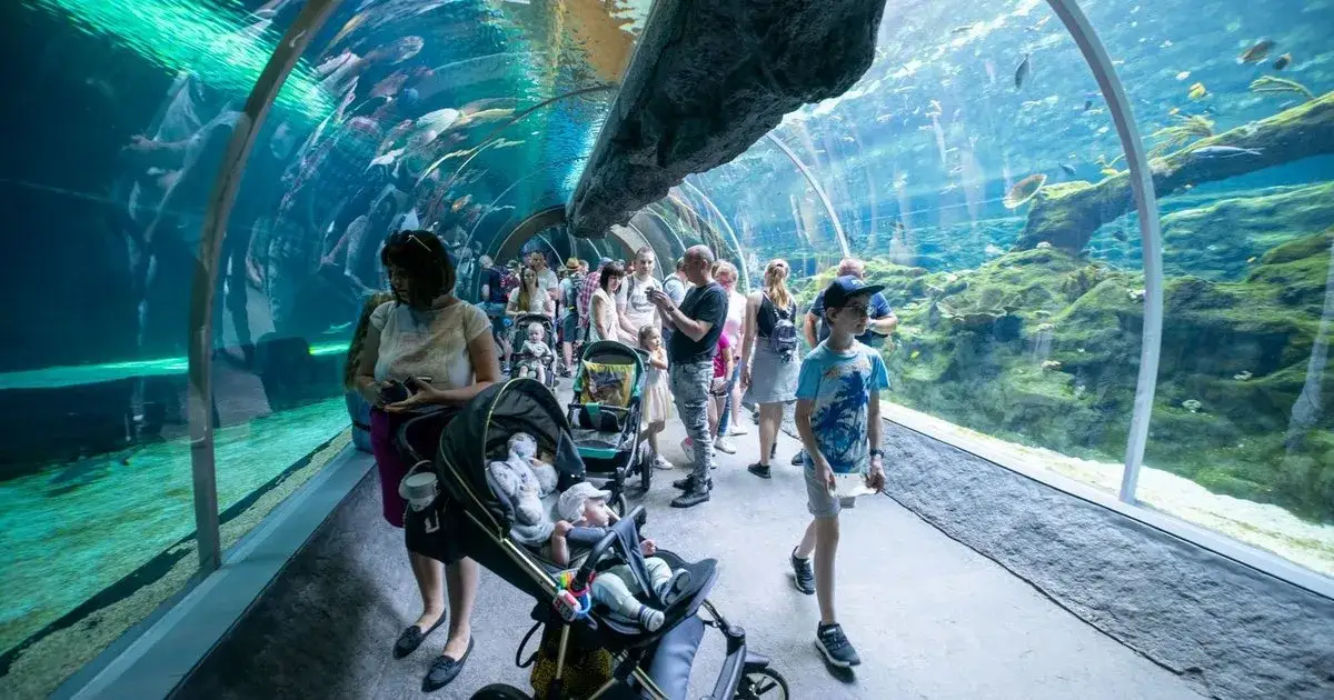 Zdjęcie Oceanarium Łódź: Niezapomniane atrakcje i podwodne przeżycia